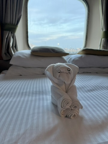 Every time the cabin was cleaned they'd leave behind a "towel animal". Apparently people expect these and will complain if they don't appear.